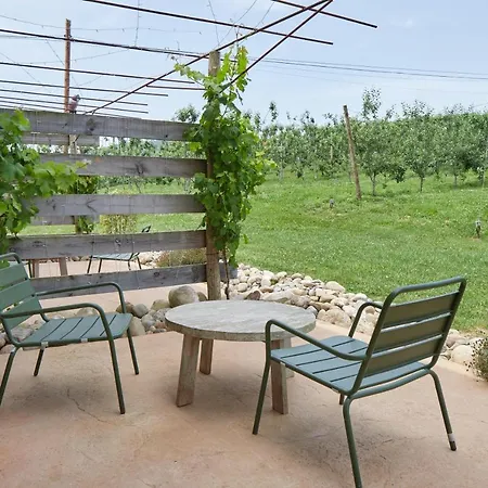 Olivi1948 - Boutique Casa rural